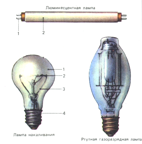 Современные источники света: Лампа накаливания, люминесцентная лампа, ртутная газоразрядная лампа