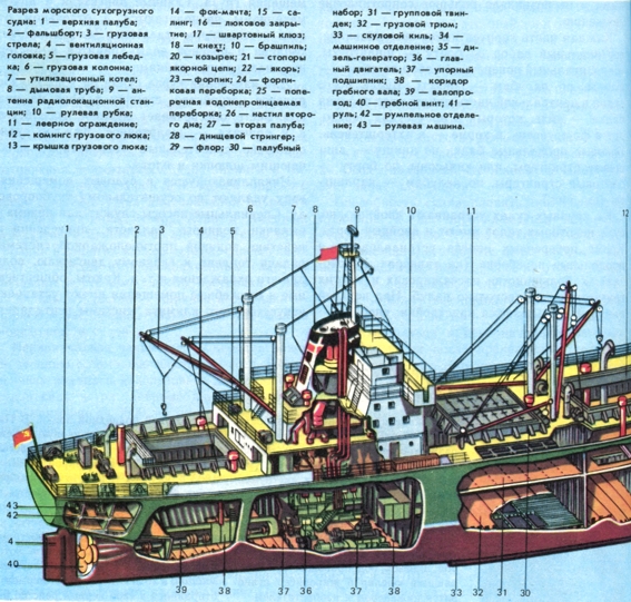 Разрез морского сухогрузного судна: 1 - верхняя палуба; 2 - фальшборт; 3 - грузовая стрела; 4 - вентиляционная головка; 5 - грузовая лебедка; 6 - грузовая колонна; 7 - утилизационный котел; 8 - дымовая труба; 9 - антенна радиолокационной станции; 10 - рулевая рубка; 11 - леерное ограждение; 12 - комингс грузового люка; 13 - крышка грузового люка; 14 - фок-мачта; 15 - салинг; 16 - люковое закрытие; 17 - швартовный клюз; 18 - кнехт; 10 - брашпиль; 20 - козырек; 21 - стопоры якорной цепи; 22 - якорь; 23 - форпик; 24 - форпи-ковая переборка; 25 - поперечная водонепроницаемая переборка; 26 - настил второго дна; 27 - вторая палуба; 28 - днищевой стрингер; 29 - флор; 30 - палубный набор; 31 - групповой твиндек; 32 - грузовой трюм; 33 - скуловой киль; 34 - машинное отделение; 35 - ди-зель-генератор; 36 - главный двигатель; 37 - упорный подшипник; 38 - коридор гребного вала; 39 - валопро-вод; 40 - гребной винт; 41 - руль; 42 - румпельное отделение; 43 - рулевая машина.