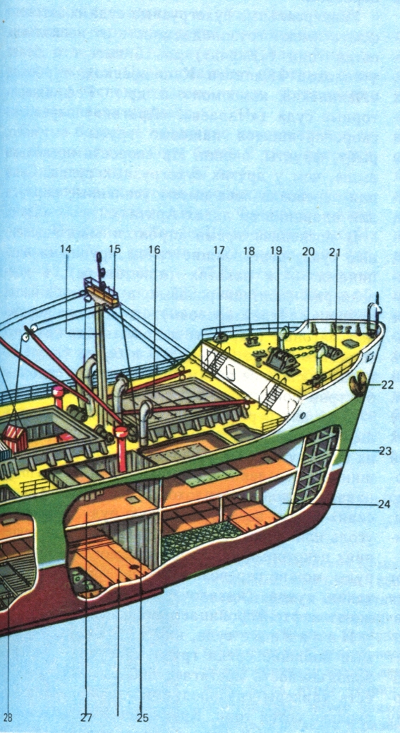 Разрез морского сухогрузного судна: 1 - верхняя палуба; 2 - фальшборт; 3 - грузовая стрела; 4 - вентиляционная головка; 5 - грузовая лебедка; 6 - грузовая колонна; 7 - утилизационный котел; 8 - дымовая труба; 9 - антенна радиолокационной станции; 10 - рулевая рубка; 11 - леерное ограждение; 12 - комингс грузового люка; 13 - крышка грузового люка; 14 - фок-мачта; 15 - салинг; 16 - люковое закрытие; 17 - швартовный клюз; 18 - кнехт; 10 - брашпиль; 20 - козырек; 21 - стопоры якорной цепи; 22 - якорь; 23 - форпик; 24 - форпи-ковая переборка; 25 - поперечная водонепроницаемая переборка; 26 - настил второго дна; 27 - вторая палуба; 28 - днищевой стрингер; 29 - флор; 30 - палубный набор; 31 - групповой твиндек; 32 - грузовой трюм; 33 - скуловой киль; 34 - машинное отделение; 35 - ди-зель-генератор; 36 - главный двигатель; 37 - упорный подшипник; 38 - коридор гребного вала; 39 - валопро-вод; 40 - гребной винт; 41 - руль; 42 - румпельное отделение; 43 - рулевая машина.