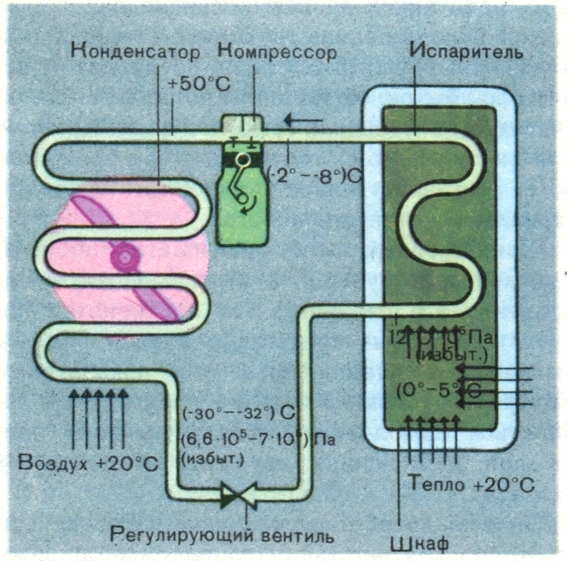 Схема устройства компрессорного холодильника
