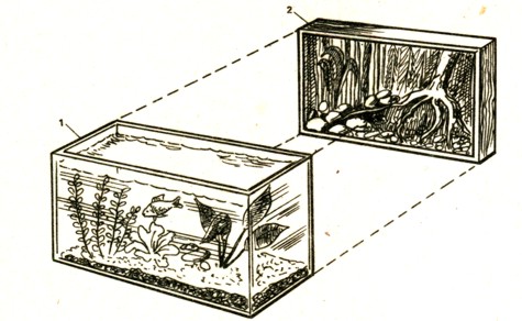 Рис. 8. Декоративный задник: 1 - аквариум; 2 - задник