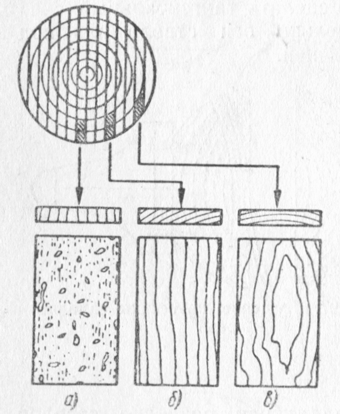Рис. 198. Схема разрезов ствола: а - радиальный, 6 - полурадиальный (полутангентальный), в - тангентальный